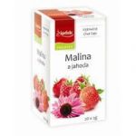 MALINA A JAHODA 20 x 2g Apotheke