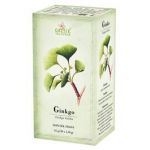 GINKGO 30 x 1,5g Grešík